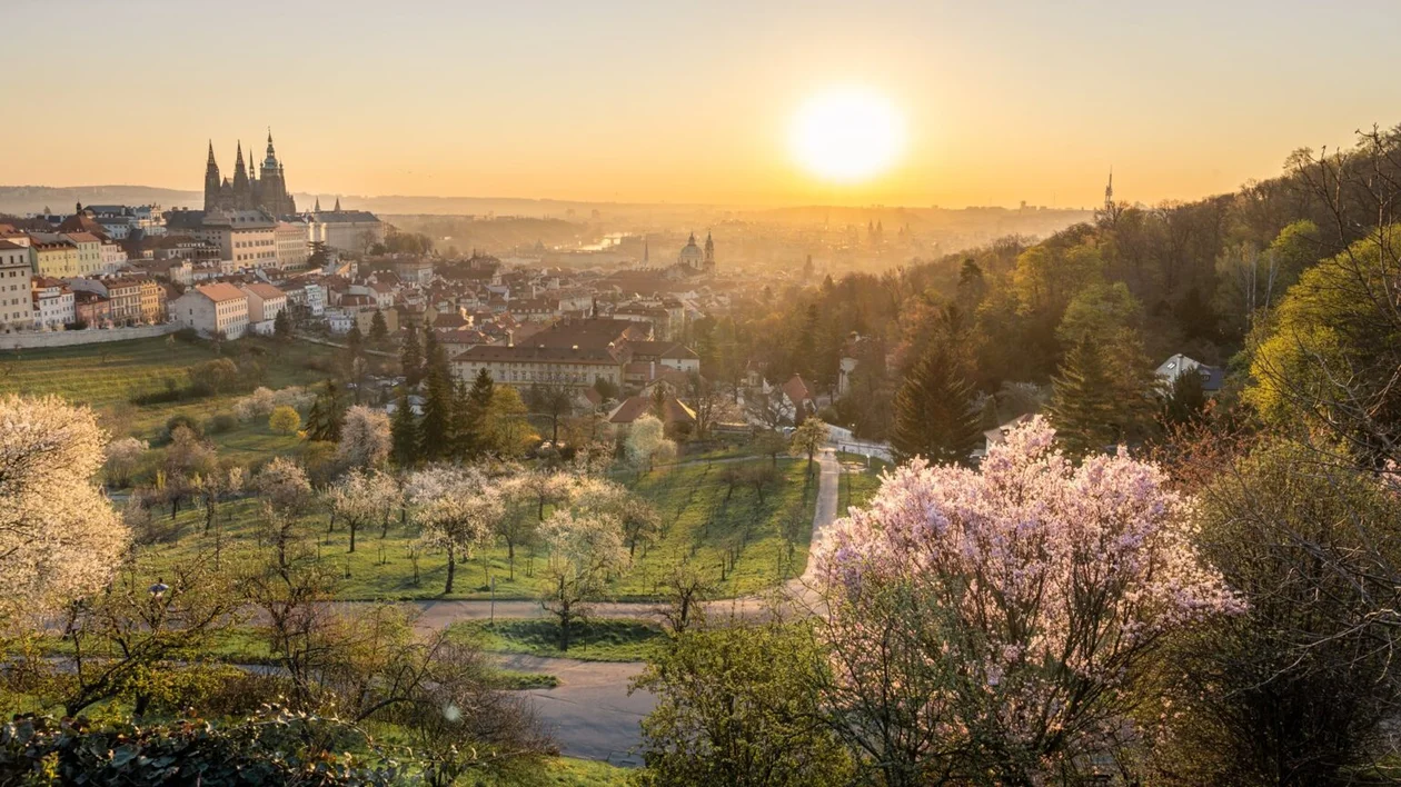 Sunrise over a city with blooming trees, distant church towers, and rolling hills.