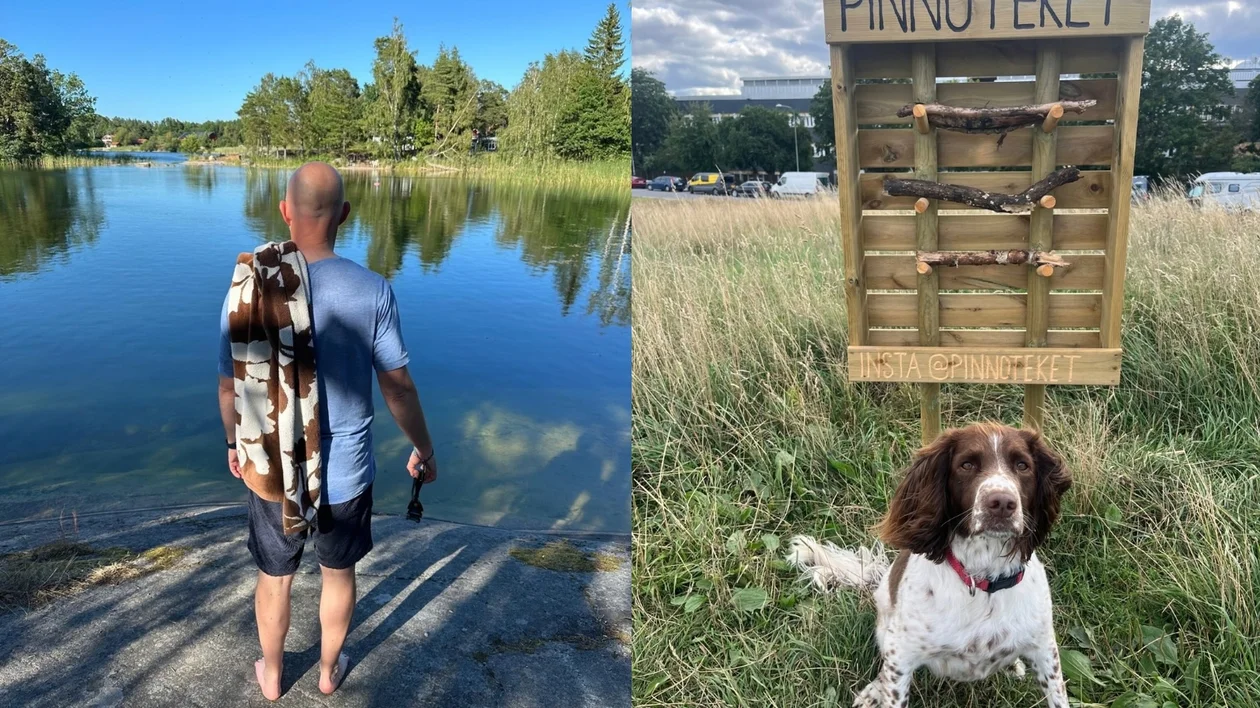 Man standing by a calm lake with a dog; dog sitting in grass near a wooden display.
