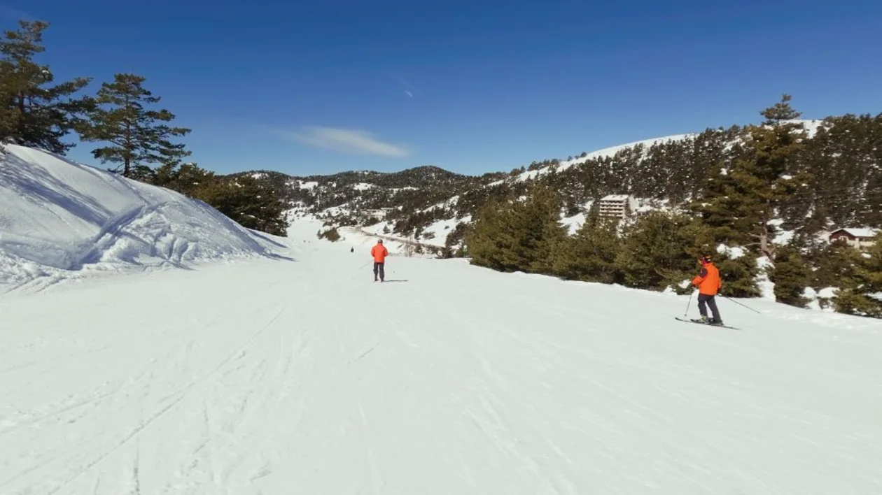 Skiers on a snowy mountain slope under a clear blue sky with pine trees.