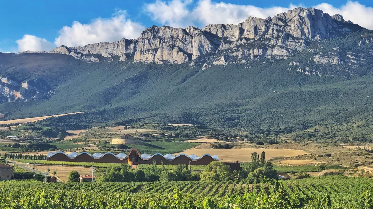 Vineyard with mountains in the background under a blue sky with scattered clouds.
