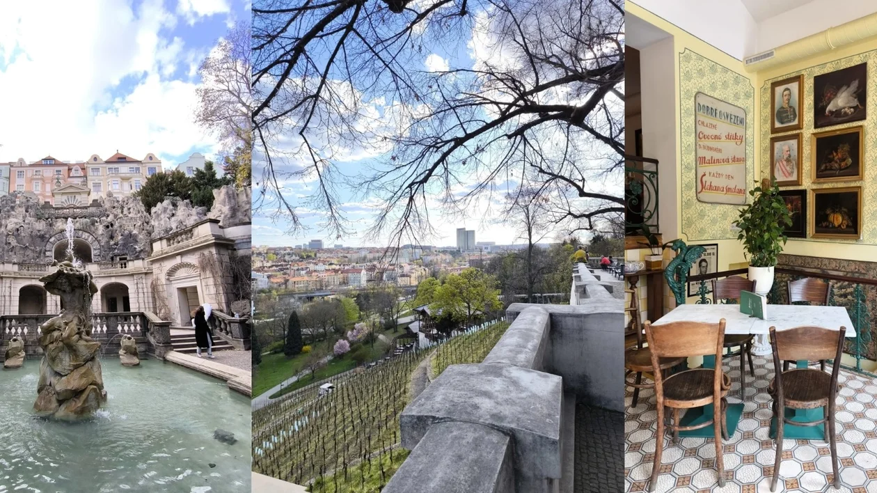 Fountain courtyard, cityscape viewpoint, and cozy café with framed art on the walls.
