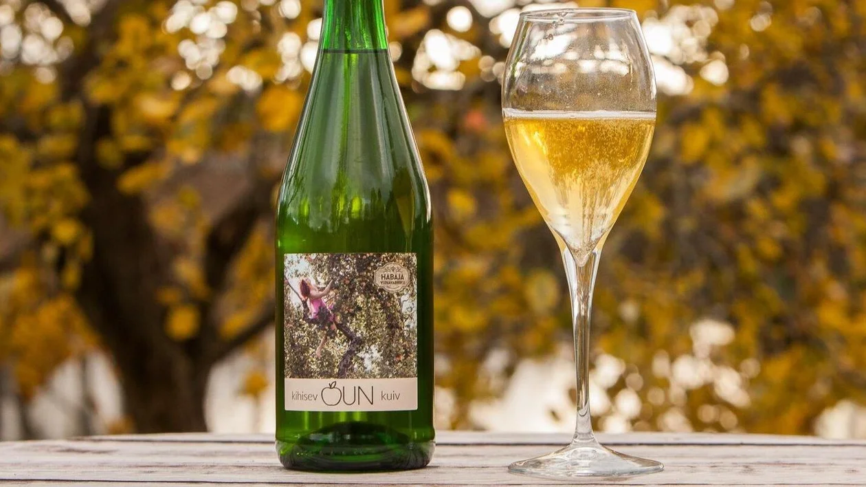 Green wine bottle and filled glass on a wooden table with autumn leaves in the background.