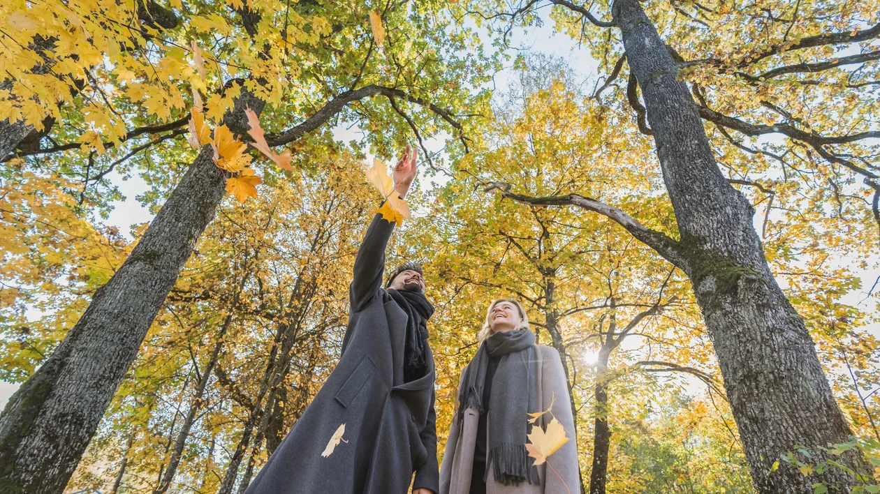 Two people in coats enjoying autumn leaves in a sunlit forest.