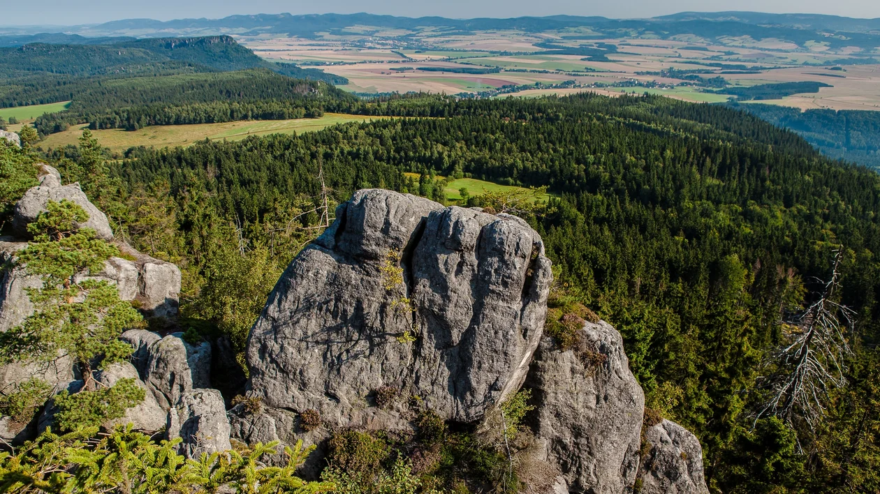 Large gray rock formations rise above a dense green forest with fields in the distance.