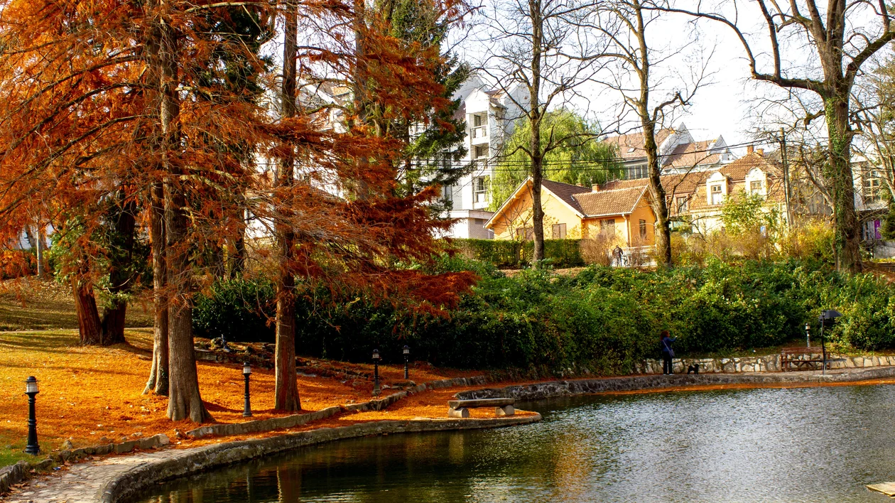 Pond surrounded by autumn trees and houses in the background.