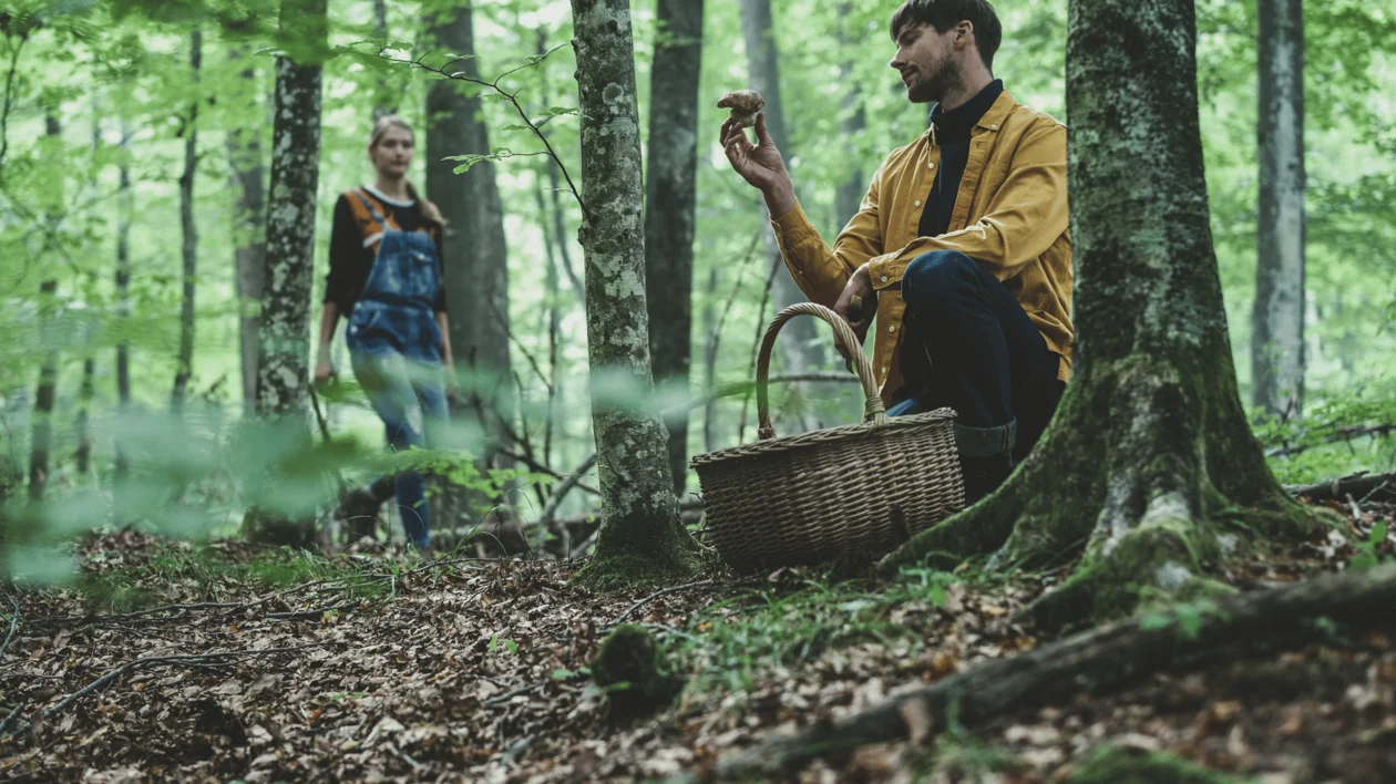 Man kneeling in a forest holding a mushroom, basket in hand, woman in background.