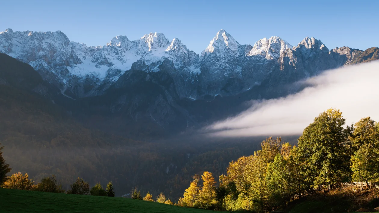 Sunlit mountain range with snowy peaks, green trees, and a strip of low-lying clouds.