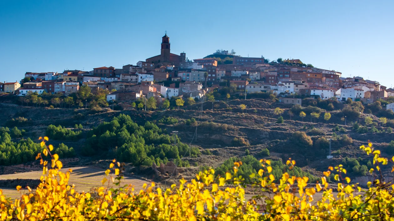 Hilltop town with a prominent church tower, green trees, and yellow plants in the foreground.