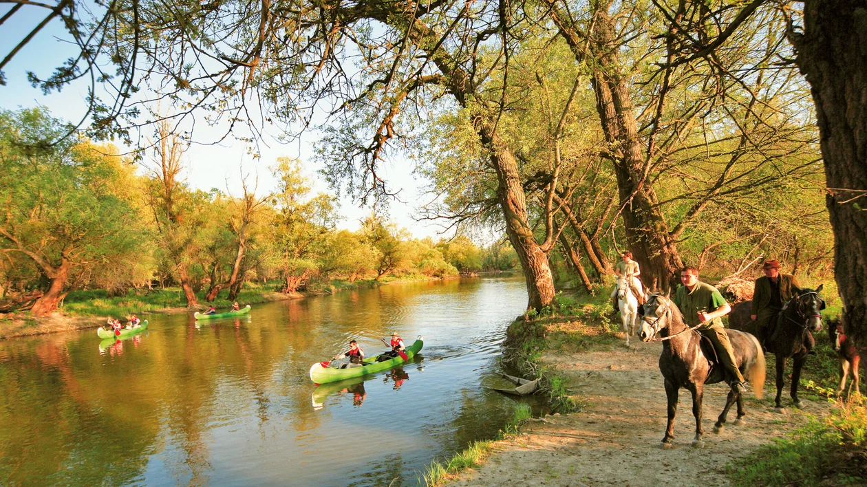 People kayaking on a river, with others riding horses along a tree-lined path.