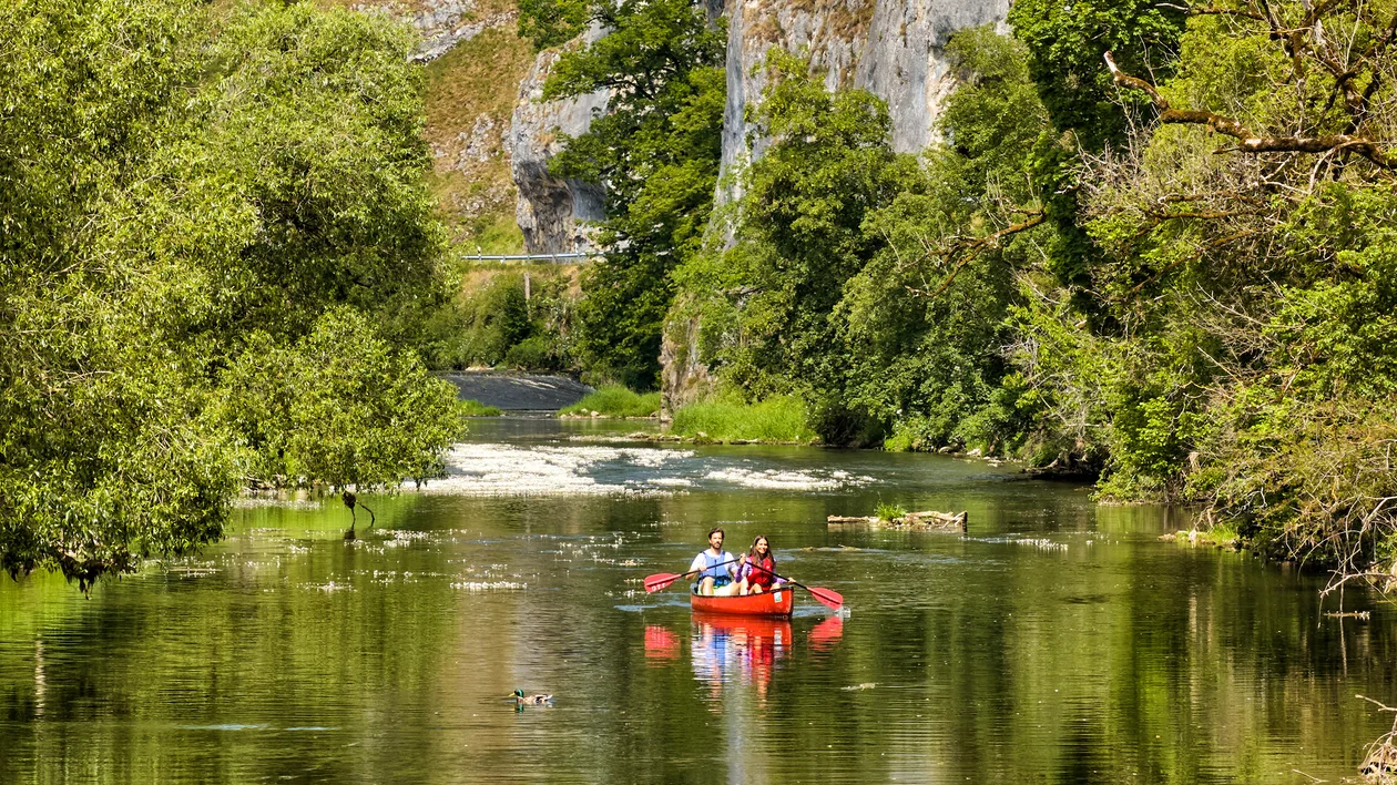Three people kayaking on a calm river surrounded by lush green trees.
