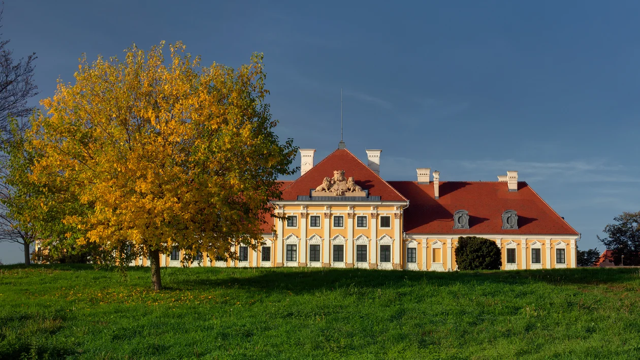 Large yellow tree in front of an ornate building with red roof under a clear blue sky.