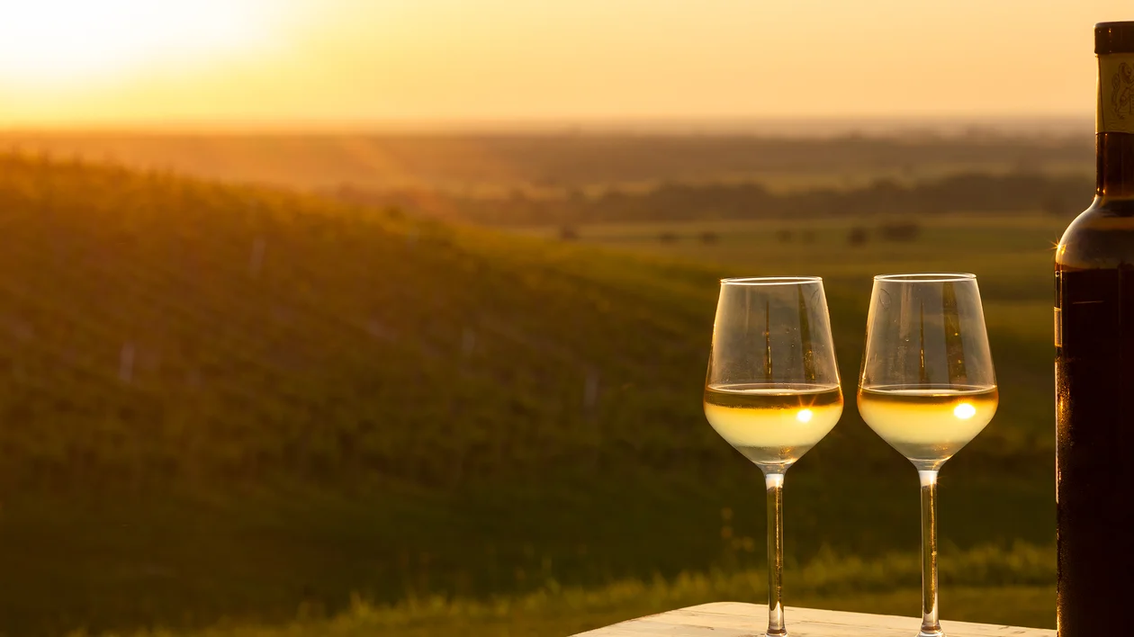 Two glasses of white wine and a bottle on a table at sunset overlooking a vineyard.
