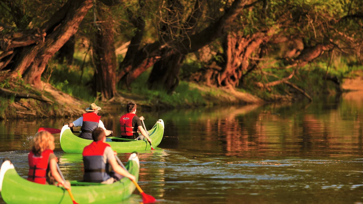 Two green canoes with people paddling on a calm river, surrounded by trees.