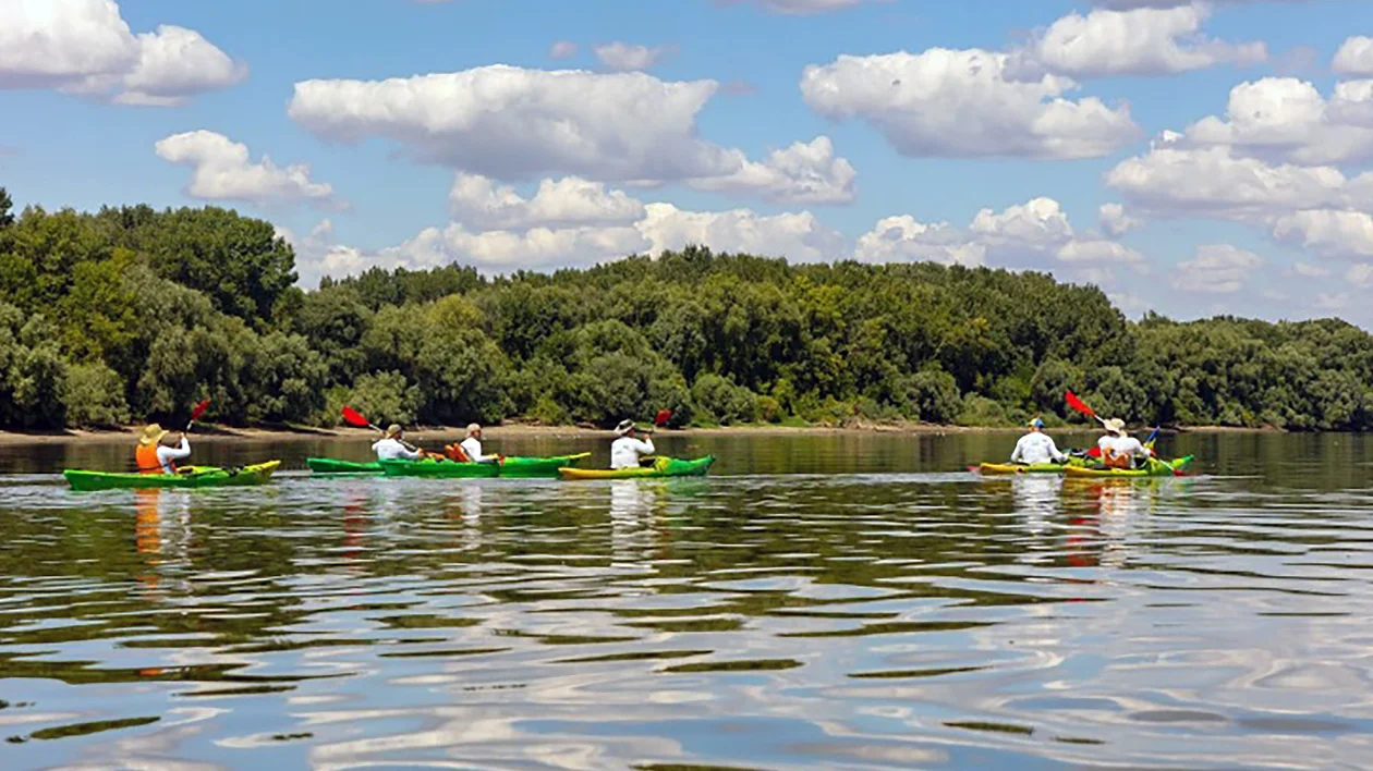 Four green kayaks with people paddling on a calm river, trees and clouds in the background.