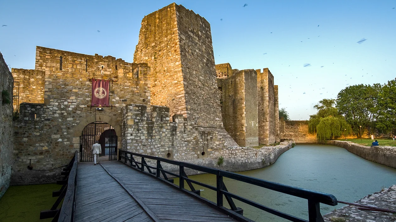 Stone castle with a drawbridge over a moat and a banner above the entrance.