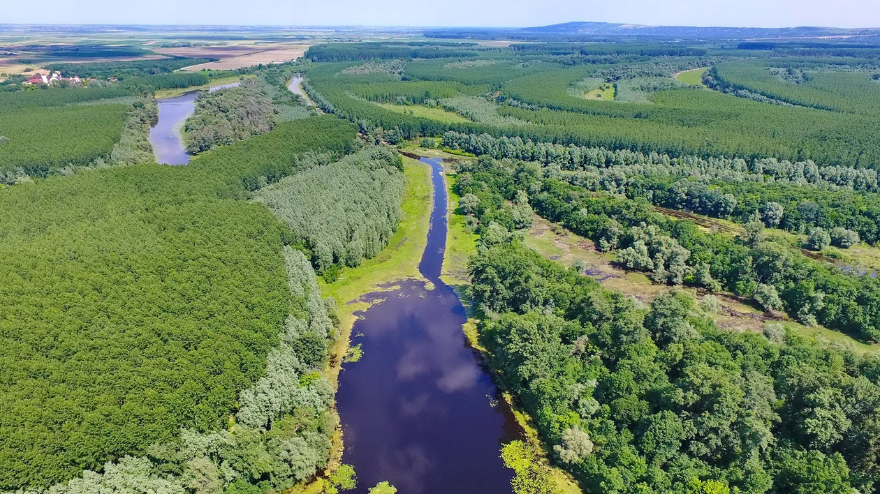 A winding river flows through dense green forest under a blue sky.