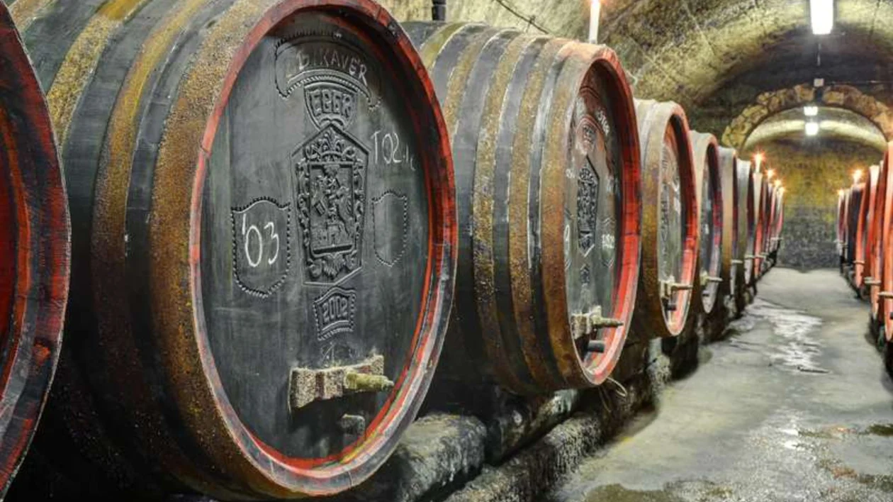 These wine barrels in a Hungarian cellar are aged for years before they’re tapped