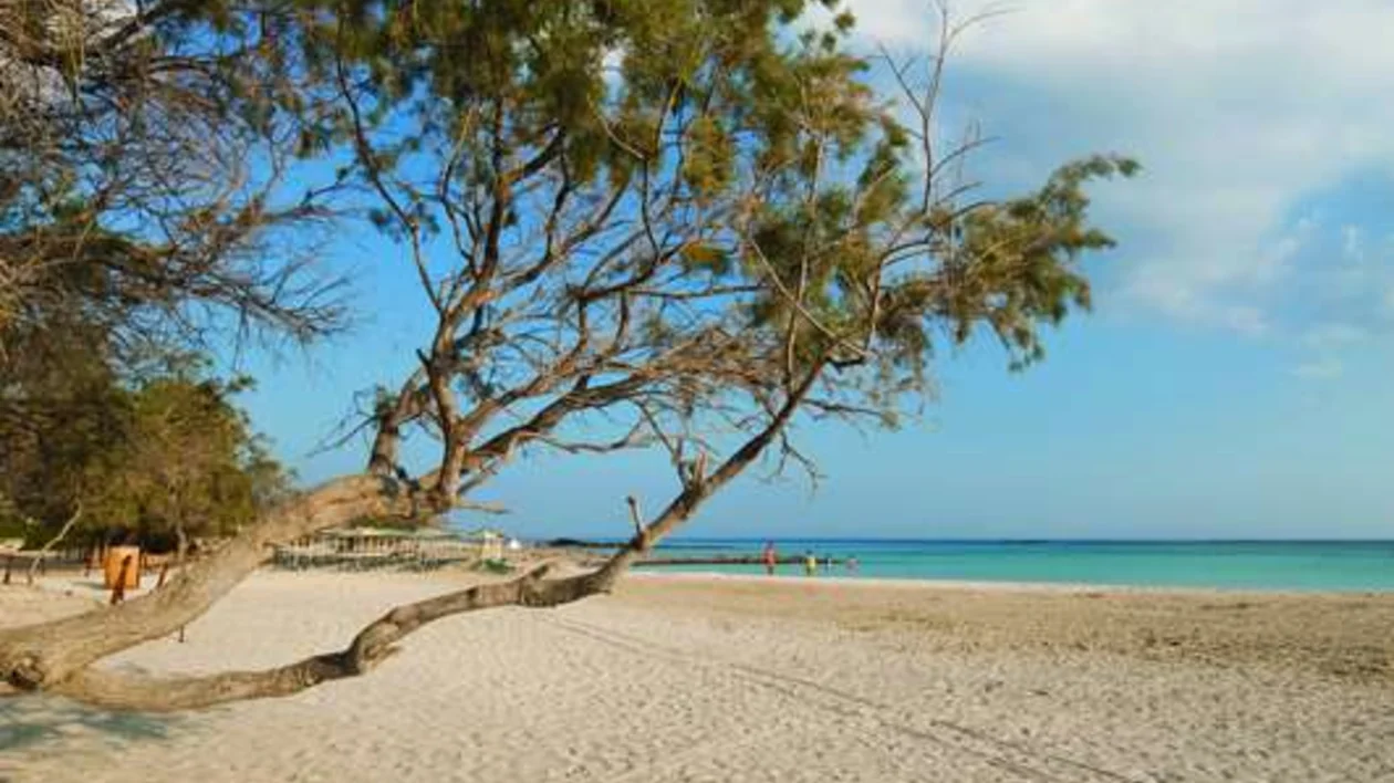Elafonisi Beach in Greece is one of the best beaches of the Greek Riviera