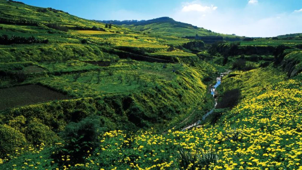 The landscape of Gozo Island, Malta, is full of valleys, streams and lush vegetation.