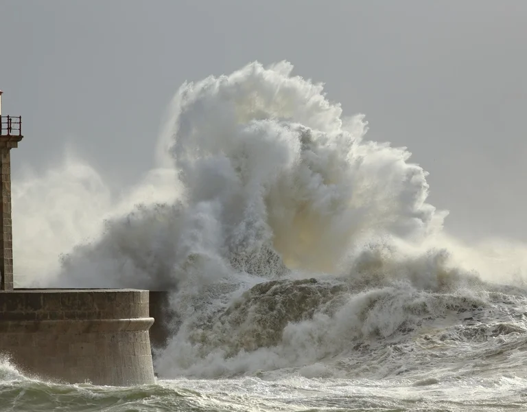 Atlantic Coast during winter