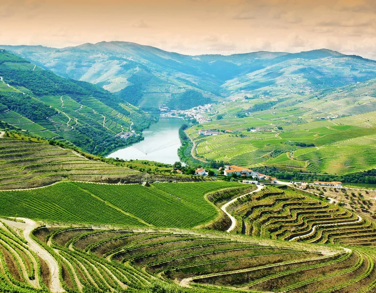 Vineyards in Douro Valley