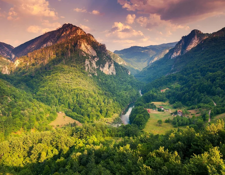 3.Tara National Park