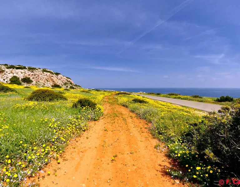 Secrets of the Eastern Mediterranean