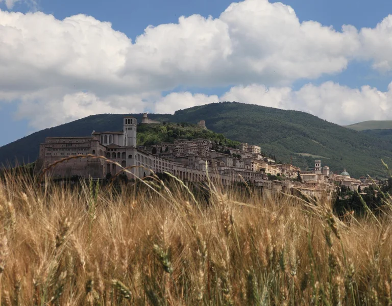 The Santiago de Compostela pilgrimage route in Spain