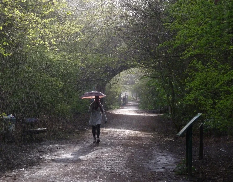 Parkland Walk in London is a popular city path for walkers, joggers, cyclists and more