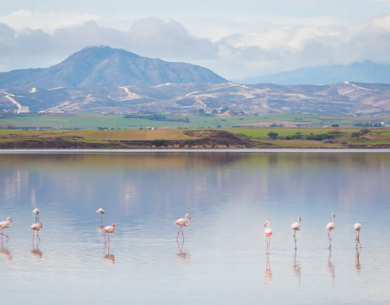 ETC_InfluencerExperience_LarnakaCyprus