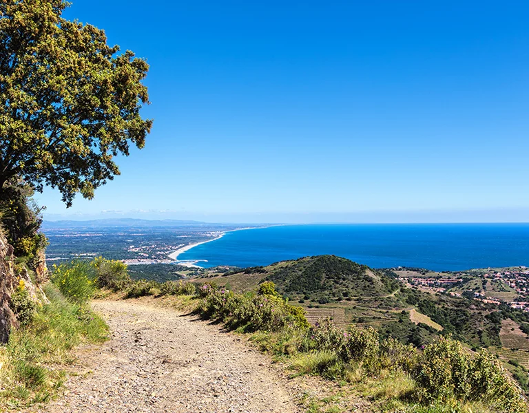 MicrosoftTeams-image (1)