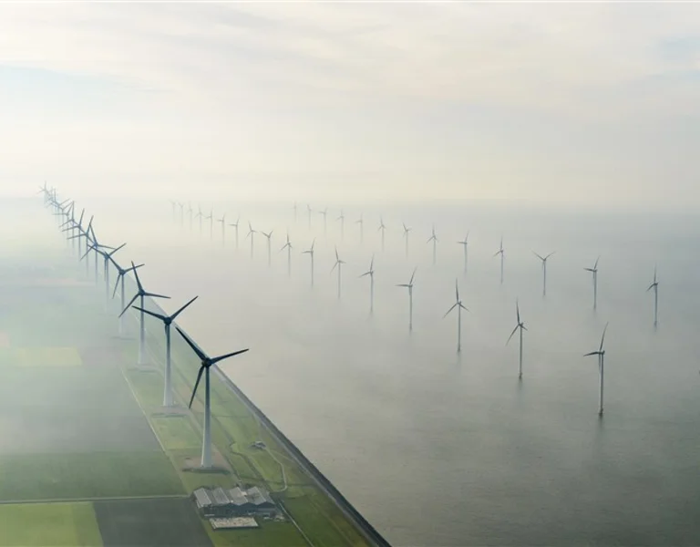 download_scaled_800x800_3741