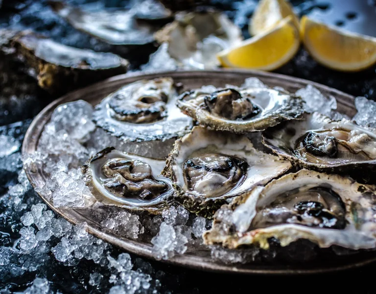 Oysters, Croatia.