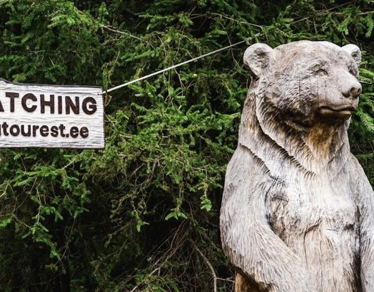 Bear Watching, Estonia