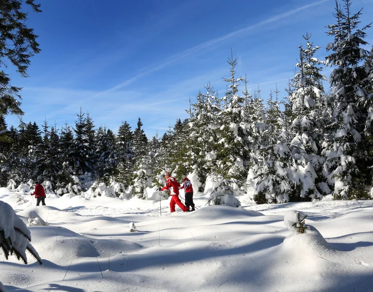 Skiing at Signal de Botrange. ©WBT - Arnaud Siquet