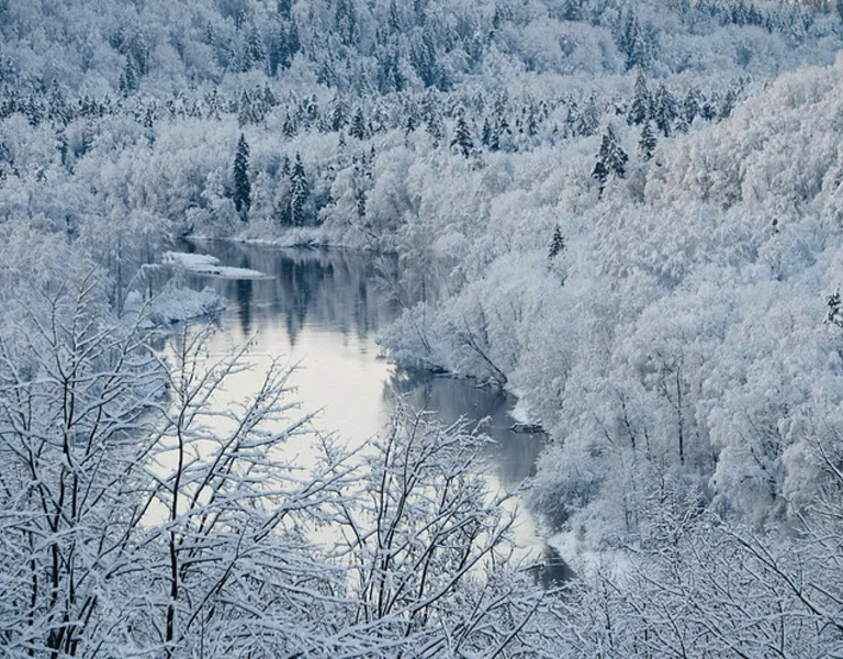 Gauja National Park. ©Anita Austvika