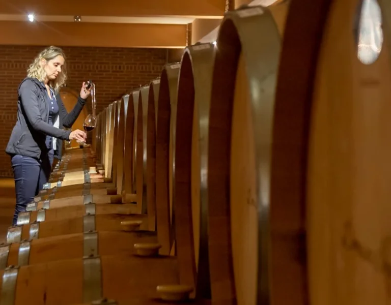 Wine and Vine Museum. ©GNTO / P. Merakos