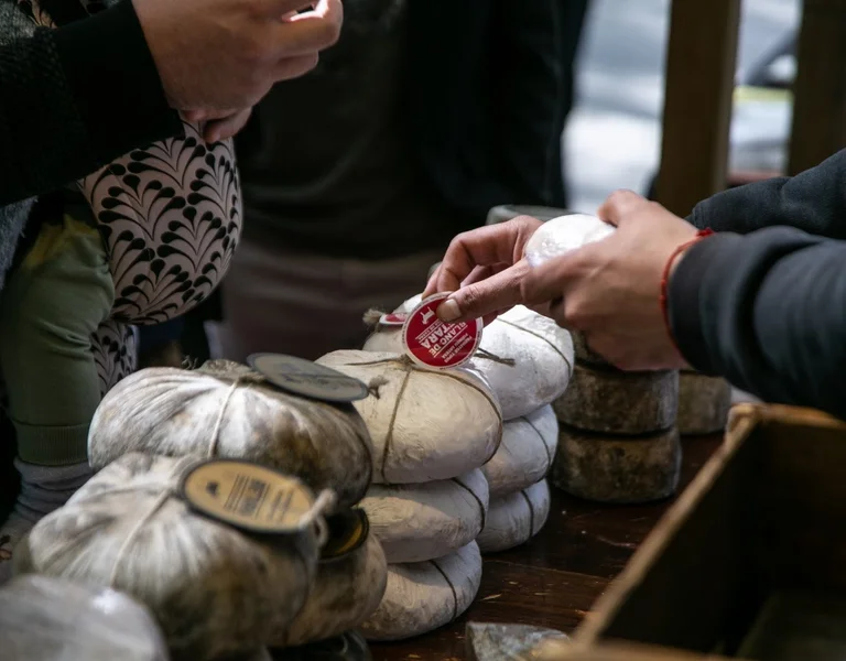 © 2024 LASEVAWEB GLOBAL WEB SERVICES S.L.