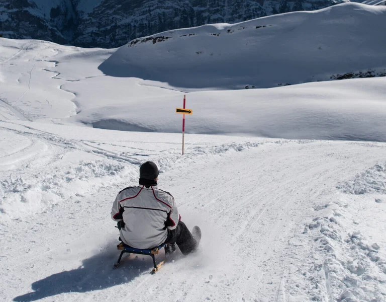 The Swiss Alps. ©Shutterstock/Ipsimus