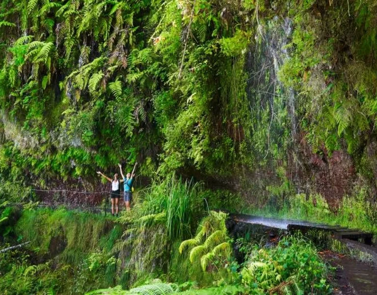 Levada do Rei ©Henrique Seruca