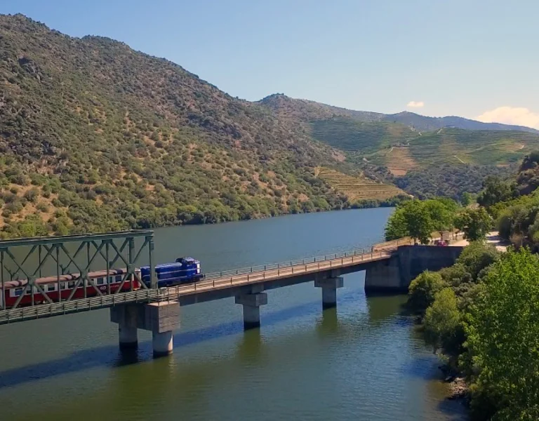 A train crosses a raised bridge over a river with a typical Mediterranean landscape.