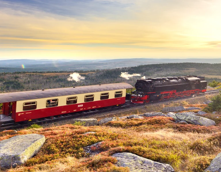 A train passing thought natural landscape during sunset