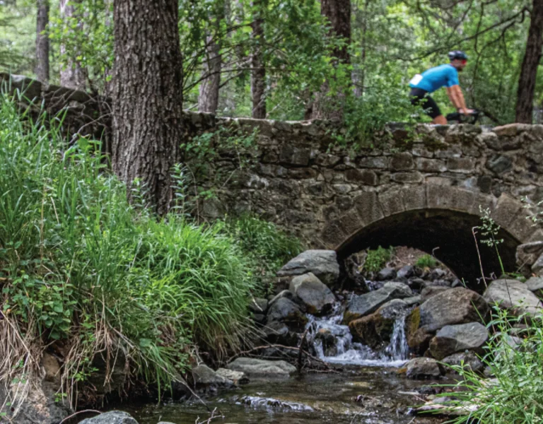 biking in the forste on a stone bridge