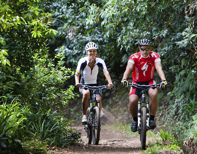 cyclists in the middle of Portuguese wood