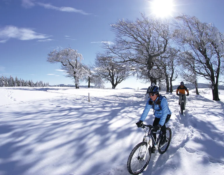Black forest full of snow in Germany.
