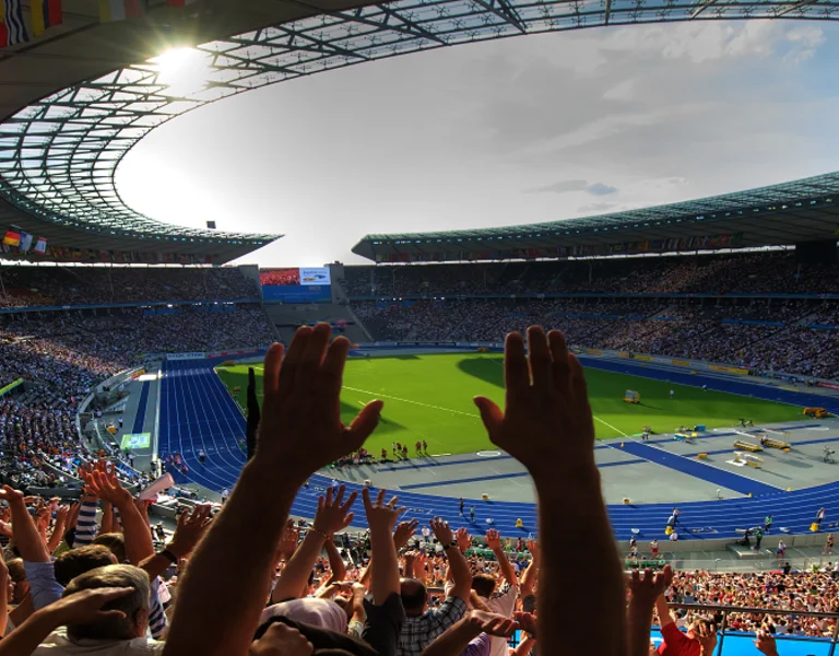 people cheering at the stadium