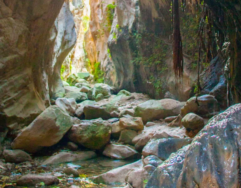 Natural hiking trail with stones.