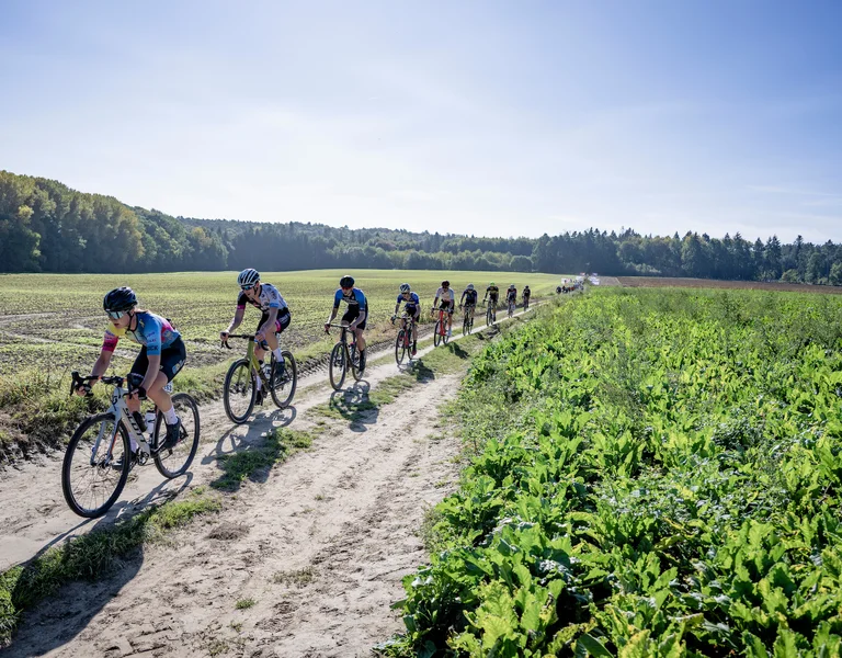 cycling in the flamish fields