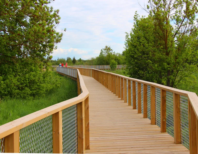 Wooden boardwalk with handrails through greenery with two distant people.