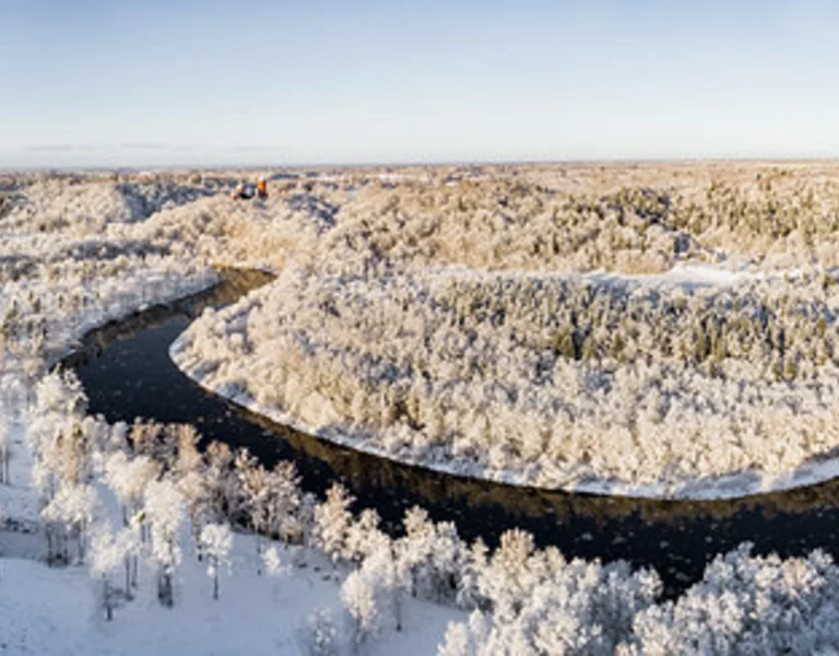 Panoramic winter landscape with a snow-covered forest and a meandering river under a clear sky.